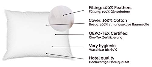 ZOLLNER Almohadón de Pluma de Ganso, 60x80 cm, Funda de algodón, Otras Medidas