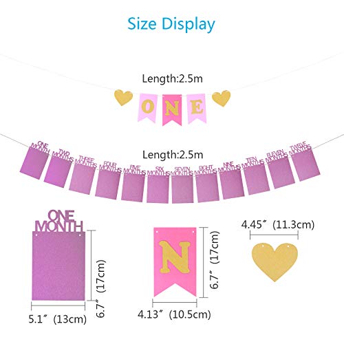 ZoomSky Marco de Fotos guirlada Fotos Papel para Colgar Bebe recién Foto Decora Fiesta de Primer cumpleaños de niño Regalo un One Bandera, 20 Pegamento Redondo Punto, un Hilo, una Aguja (Rosa)