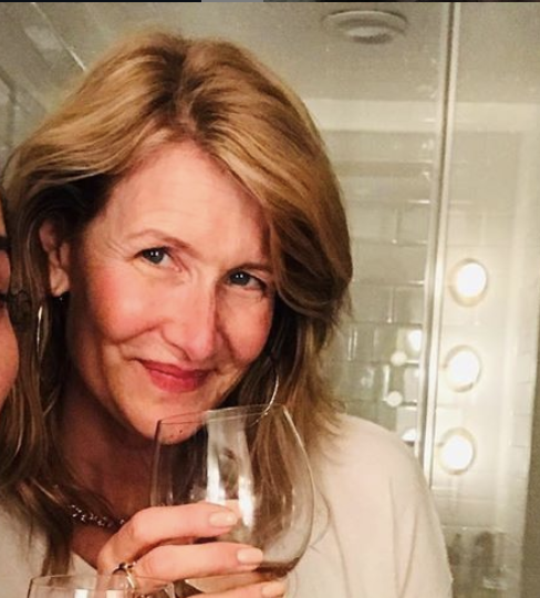 Todo lo que Laura Dern, de 53 años, usa para mantener su piel brillante y joven