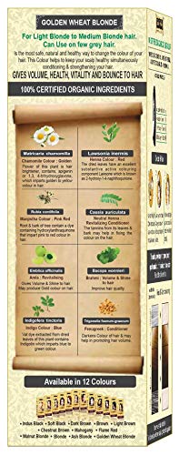 100% orgánico 100% Botanical Natural Herbal hair Dye color Kit para hombres y mujeres 100% libre de químicos, no PPD, no Amoniaco, no peróxido y sin ningún tipo de metales pesados