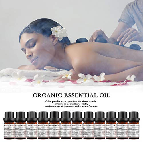 12 Set de Aceite Esencial Para Difusor 100% Aceite Vegetal Puro Rosa, Jazmín, Vetiver, menta, Sándalo, Manzanilla, árbol de Té, Incienso, Lavanda, Canela, naranja, Limón