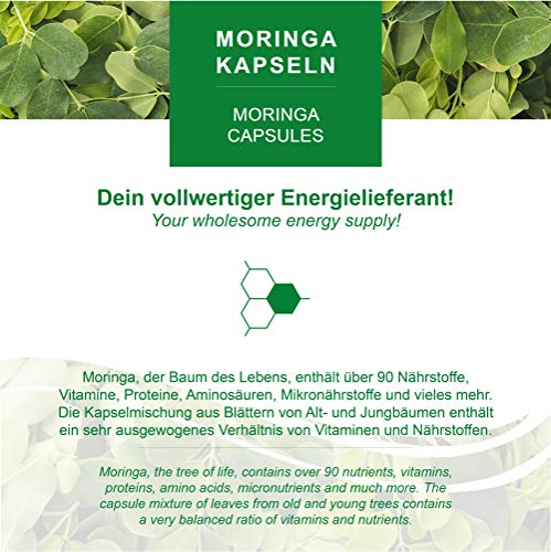 120 Moringa cápsulas 600mg o Moringa Energia Tabs 950mg - Oleifera, vegetariano, Producto de calidad de MoriVeda (1x120 cápsulas)