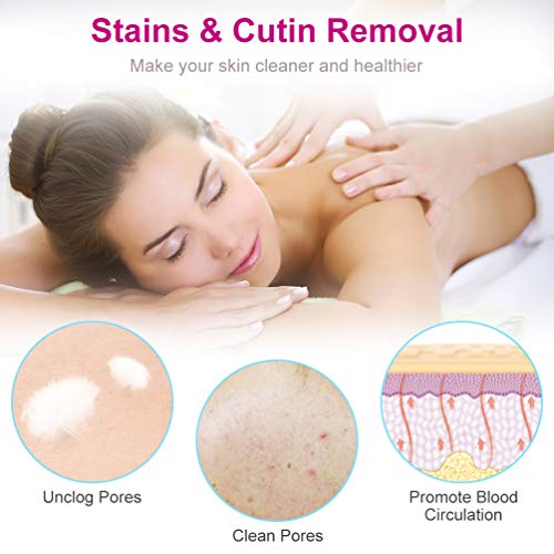 2-in-1 Cepillo de ducha plegable con 2 cabezales de cepillo, depurador posterior, cepillo de cuerpo portátil con cerdas duras y suaves-PRETTY SEE