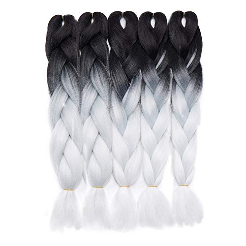 24"(60cm) 5 Piezas Extensiones de Pelo Sintético para Hacer Trenzas Africanas - Cabello No Destiñe y Se Ve Natural - (500g,Negro/Blanco)