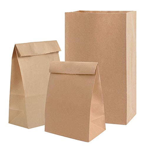 24pcs Bolsas de Papel Kraft Marrones,ZERHOK Bolsa de Papel de Regalo para Envolver Regalos Galletas Sándwiches Caramelos en Pascua San Valentín Navidad (23.5 * 12.5 * 8cm)