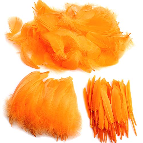 250 plumas naturales de colores llamativos para manualidades y atrapasueños, ideal para bodas, fiestas y decoración (3 tamaños) Amarillo naranja.