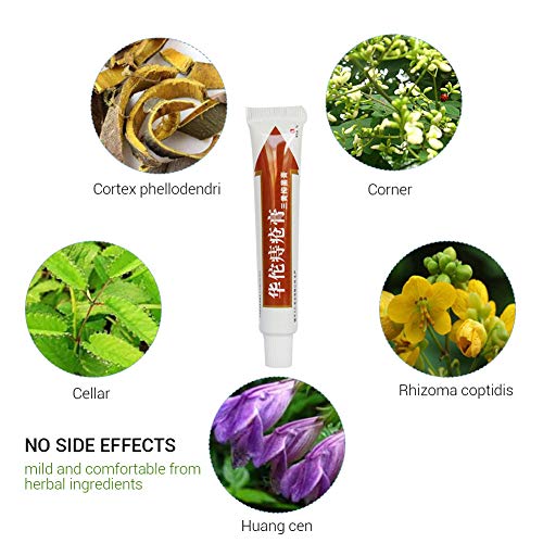 25g Hua Tuo hemorroides pomada planta a base de hierbas naturales crema para las hemorroides crema anal para las hemorroides internas Pilas de fisura anal externa