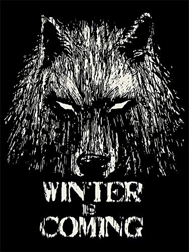 344-Camiseta Winter Is Coming (Fuacka) (Negro, M)
