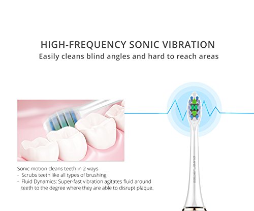 4 Cabezales de Recambio por Cepillo de dientes eléctrico sónico de Nueva Generación de Oliver James (Blanco)