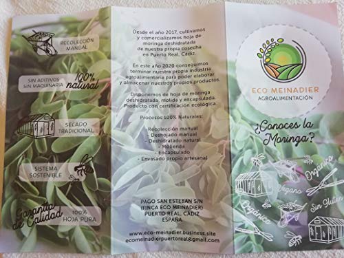 60 CAPS VEGGIES HOJA MORINGA PURA ECOLÓGICA