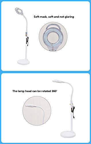 8X Lupa Lámpara de pie con luz fría Polea rebordea Facial Lámpara de Aumento de Medicina de Belleza Anillo Tatuaje luz de la inspección sin Sombra Luces de Lectura Lámparas de luz