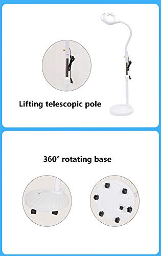 8X Lupa Lámpara de pie con luz fría Polea rebordea Facial Lámpara de Aumento de Medicina de Belleza Anillo Tatuaje luz de la inspección sin Sombra Luces de Lectura Lámparas de luz