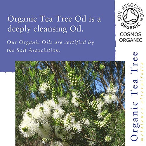 Absolute Aromas Aceite Esencial de Árbol de Té BIO (10ml)