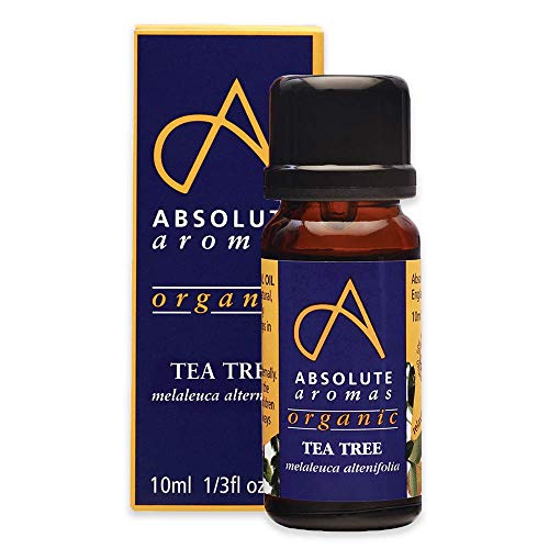 Absolute Aromas Aceite Esencial de Árbol de Té BIO (10ml)