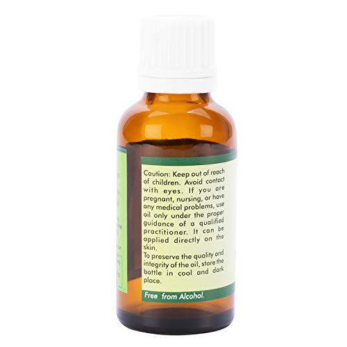Aceite Brahmi | Bacopa monnieri | 100% natural puro | Prensado en frío | Brahmi pelo Aceite | Para el crecimiento pelo | Para piel | Sin refinar | Brahmi Oil | 30ml | 1.01oz By R V Essential