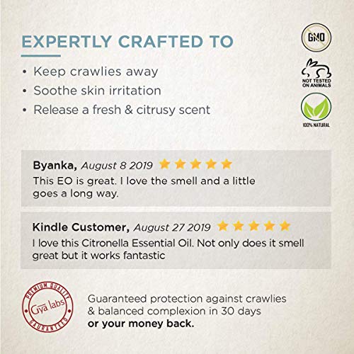 Aceite esencial de citronela: una tez refrescante y una belleza equilibrada (10 ml) - Aceite de citronela de grado terapéutico 100% puro