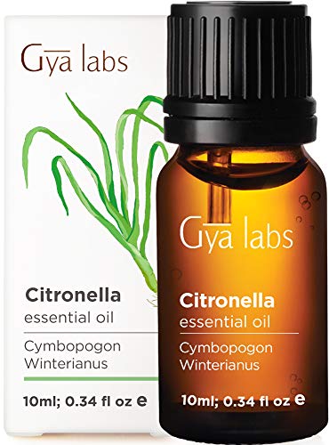 Aceite esencial de citronela: una tez refrescante y una belleza equilibrada (10 ml) - Aceite de citronela de grado terapéutico 100% puro