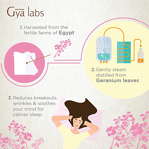 Aceite esencial de geranio egipcio - Una revitalización floral de belleza juvenil (10 ml) - Aceite de geranio de grado terapéutico 100% puro