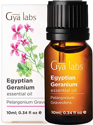 Aceite esencial de geranio egipcio - Una revitalización floral de belleza juvenil (10 ml) - Aceite de geranio de grado terapéutico 100% puro