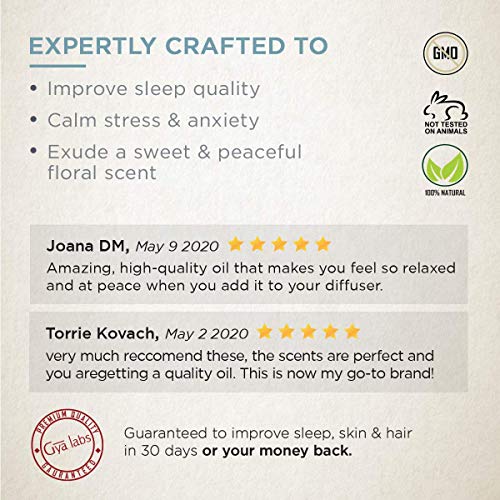 Aceite esencial de lavanda: una limpieza calmante para una belleza más clara y noches de descanso (10 ml) - Aceite de lavanda 100% puro de grado terapéutico