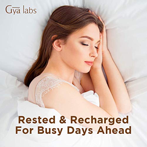 Aceite esencial de lavanda: una limpieza calmante para una belleza más clara y noches de descanso (10 ml) - Aceite de lavanda 100% puro de grado terapéutico