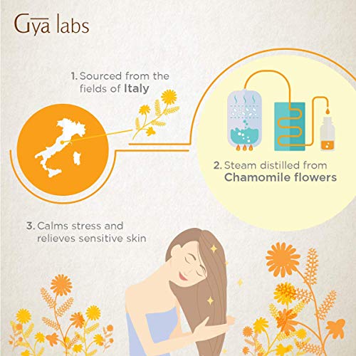 Aceite Esencial de Manzanilla Romana - Calme Tranquilo los Dolores del Día (10 ml) - Aceite de Manzanilla de Grado Terapéutico 100% Puro