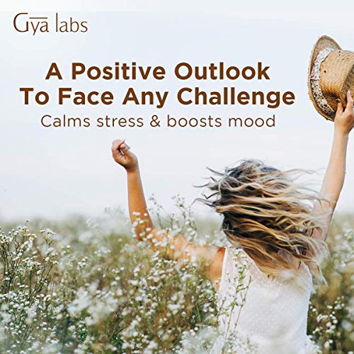 Aceite Esencial de Manzanilla Romana - Calme Tranquilo los Dolores del Día (10 ml) - Aceite de Manzanilla de Grado Terapéutico 100% Puro