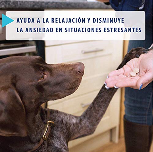 ADAPTIL Express - Tranquiliza a los perros de forma rápida - Tormentas, Fuegos artificales, Petardos, Fiestas, Viajes, Miedos, Visitas al veterinario - Caja de 10 comprimidos