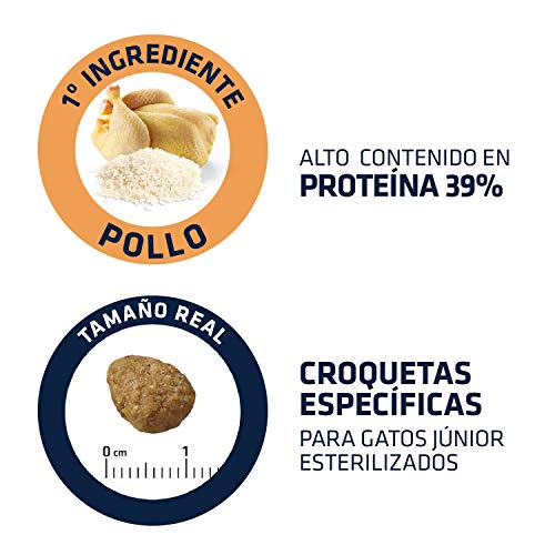 Advance 921598 Junior Sterilized - Pienso para Gatos esterilizados de hasta 2 años de Edad - 1.5 kg