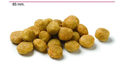 Advance Veterinary Diets Advance Veterinary Canine Renal Failure 3Kg, 3 kg, 3