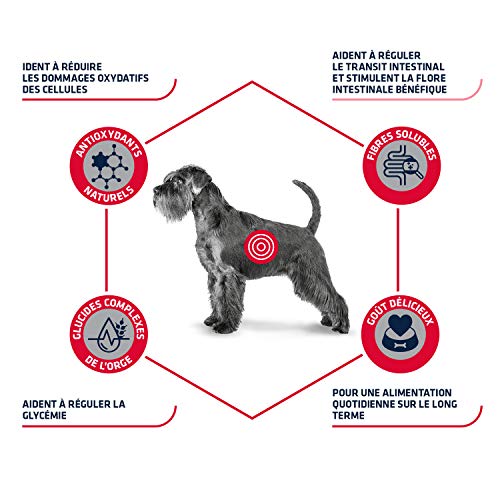 Advance Veterinary Diets Diabetes - Pienso para perros diabéticos o con colitis - 12 kg