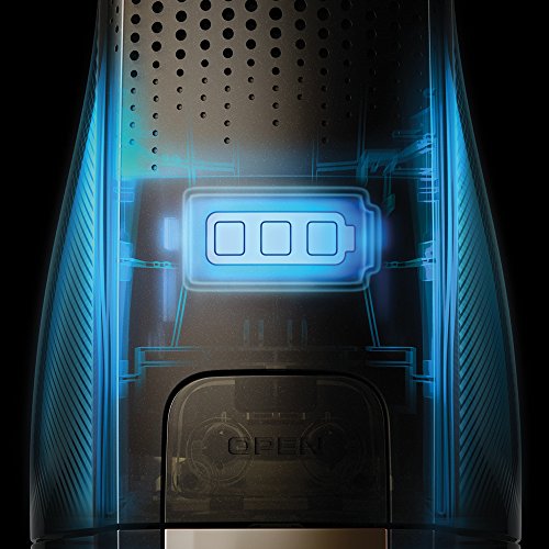 AEG CX8-2-95IM Aspiradora Escoba Sin Cable y de Mano (Sin Bolsa, hasta 95 Minutos, 2 Velocidades, Cepillo 180º, 80dB de Ruido, Depósito 0.8L, Función Limpieza Cepillo, Luces Cepillo LED, Azul)