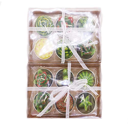 AEKAN - Vela de cactus con forma de cactus, hecha a mano, delicada, para decoración del día de San Valentín, regalo de fiesta, adorno de Navidad