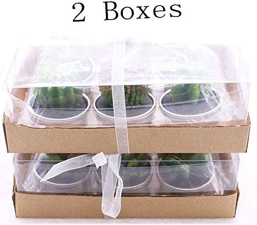 AEKAN - Vela de cactus con forma de cactus, hecha a mano, delicada, para decoración del día de San Valentín, regalo de fiesta, adorno de Navidad