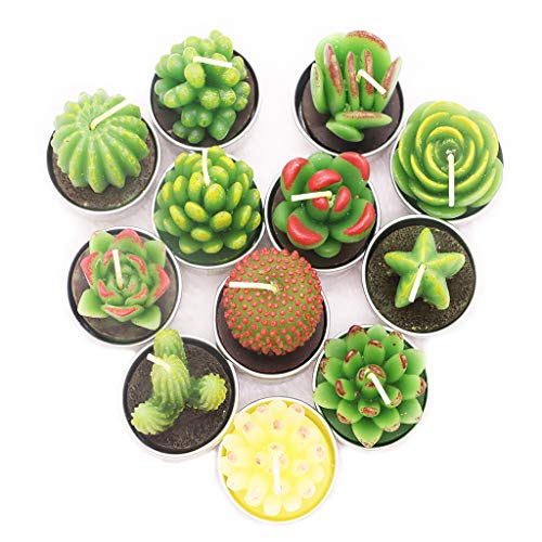 AEKAN - Vela de cactus con forma de cactus, hecha a mano, delicada, para decoración del día de San Valentín, regalo de fiesta, adorno de Navidad
