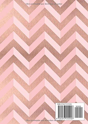 Agenda 2019-2020: 18 meses: Organiza tu día - Agenda semanal - julio 2019 a diciembre 2020 - español - Cheurón rosa