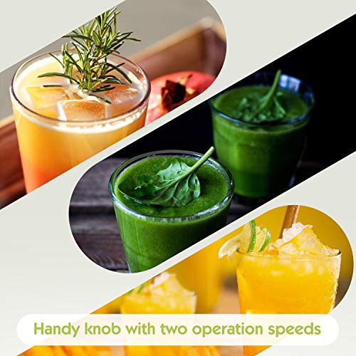 Aigostar Baron - Batidora de vaso, Licuadora Portatil 350W para Smoothies. Jarra 1 litro, botella 600ml, 2 controles de velocidad, tapón dosificador, función P y cuerpo de acero. Libre de BPA.