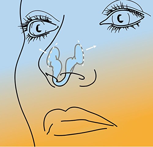 Airmax® | Dilatador nasal demostrado eficaz | Airmax dilata la parte más estrecha de la nariz para que pueda respirar más fácilmente conseguir a través de la nariz | Ayuda a incluir los ronquidos y la congestión nasal | Pequeño tamaño 1x | Ventaja Paquete