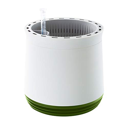 Airy Pot - innovadora Maceta purificadora de Aire 100% eficaz - Purificador de Aire Natural con Plantas de Interior sin Electricidad ni químicos (Late Spring)
