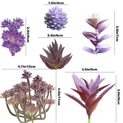 Aisamco 12 Piezas Surtidas de Plantas suculentas Artificiales Sin manchar Faux Surtido suculento en Flocado púrpura Tipo Diferente Tamaño Diferente para arreglo Floral