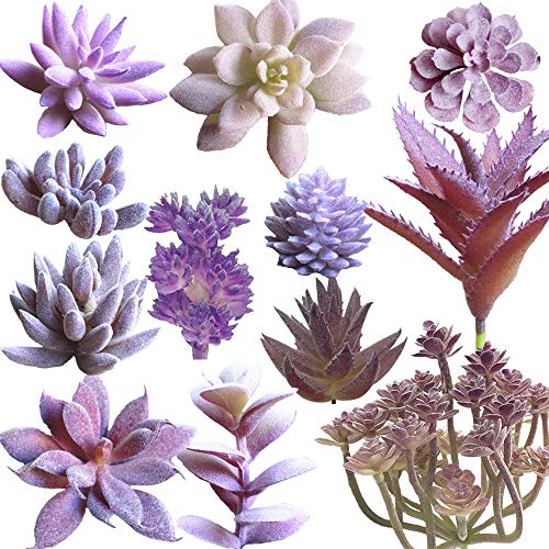 Aisamco 12 Piezas Surtidas de Plantas suculentas Artificiales Sin manchar Faux Surtido suculento en Flocado púrpura Tipo Diferente Tamaño Diferente para arreglo Floral