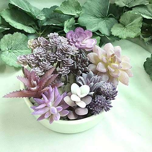 Aisamco 12 Piezas Surtidas de Plantas suculentas Artificiales Sin manchar Faux Surtido suculento en Flocado púrpura Tipo Diferente Tamaño Diferente para arreglo Floral