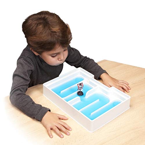 Akros 20030, los 4 Juegos del Soplo