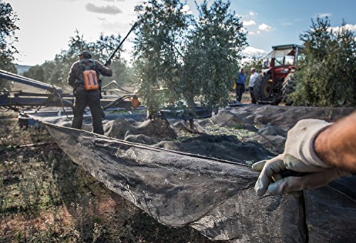 Aldonza, Aceite de Oliva Virgen Extra - 1 L. - Primera Extración en Frio. (España)