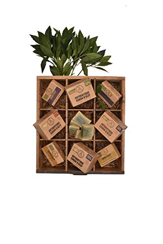 ALEPEO | Jabón de Alepo | Jabón con forma de rosa | Con laurel y aceite de oliva para el cuerpo y el pelo | 100% vegetariano, hecho a mano, sin aceite de palma, sin plástico