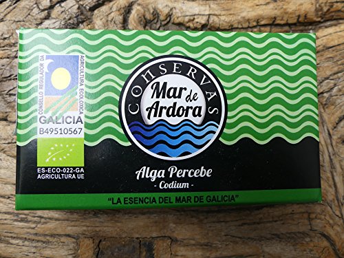 Alga percebe al natural Mar de Ardora