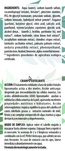 Algologie International Champú Suero Fitomarino, Exfoliante Anticaspa, con Miel y Limón - 300 ml