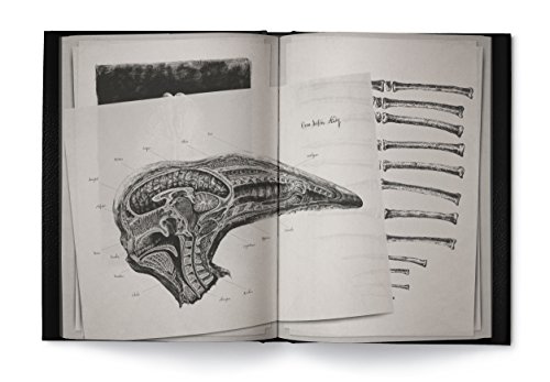Alien Covenant: David's Drawings