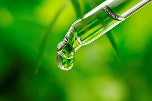 ALPHA POWER FOOD®: Stevia líquida natural - Stevia Gotas de Helado de yogur, Edulcorante natural, sustituto del azúcar con sabor - sin azúcar & calorías