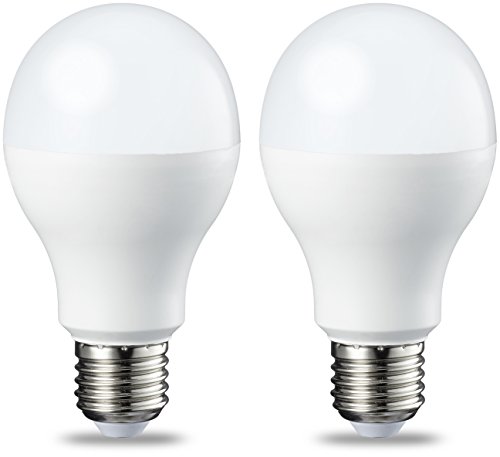 AmazonBasics Bombilla LED Esférica E27, 14W (equivalente a 100W), Blanco Cálido - 2 unidades